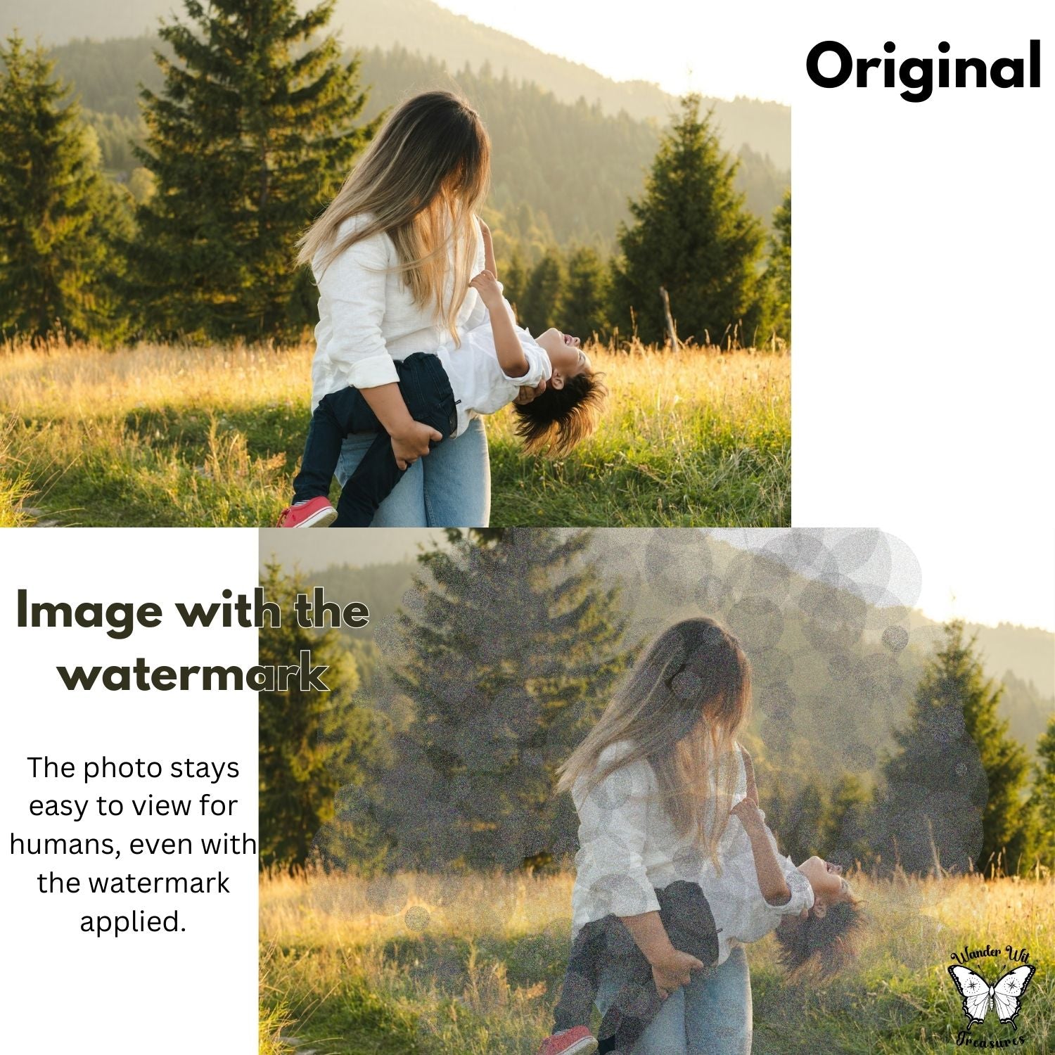 Comparison of the original photo and the same image with the AI-safe point cloud watermark applied, remaining clear for human viewing.